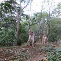 фото из отзыва ID 1136248