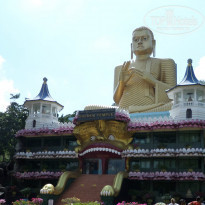 фото из отзыва ID 1136248