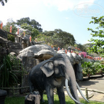 фото из отзыва ID 1136248