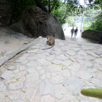 фото из отзыва ID 1136248