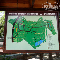 фото из отзыва ID 1136248