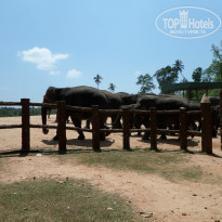 фото из отзыва ID 1136248