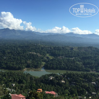 фото из отзыва ID 1136296