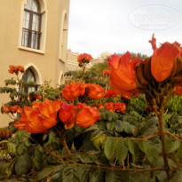 фото из отзыва ID 1136537