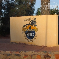 фото из отзыва ID 1136892