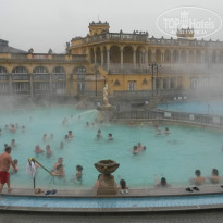 фото из отзыва ID 1137021