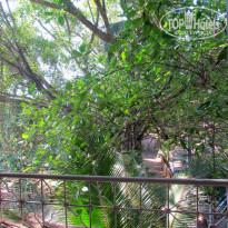 фото из отзыва ID 1137102