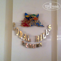 фото из отзыва ID 1137157