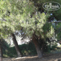 фото из отзыва ID 1136942