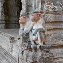 фото из отзыва ID 1132741