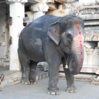 фото из отзыва ID 1132741