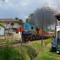 фото из отзыва ID 1137622