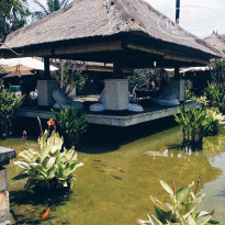 фото из отзыва ID 1137718