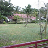 фото из отзыва ID 1137805