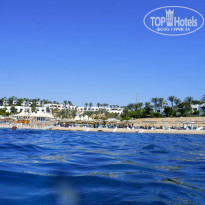 фото из отзыва ID 1137947