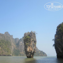 фото из отзыва ID 1137971