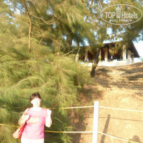 фото из отзыва ID 1137154