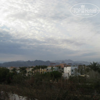 фото из отзыва ID 1137639