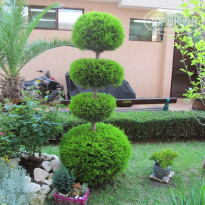 фото из отзыва ID 1138087