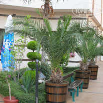 фото из отзыва ID 1138087