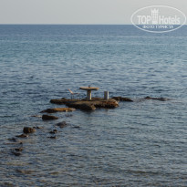 фото из отзыва ID 1138118