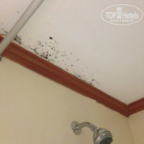 фото из отзыва ID 1138147