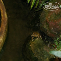 фото из отзыва ID 1138164