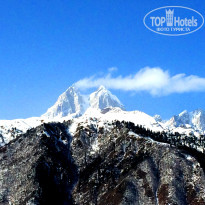 фото из отзыва ID 1138360