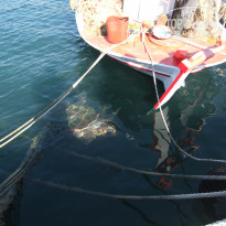 фото из отзыва ID 1138502