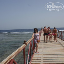 фото из отзыва ID 1138553