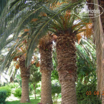 фото из отзыва ID 1137472