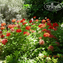 фото из отзыва ID 1137472