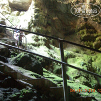 фото из отзыва ID 1137472