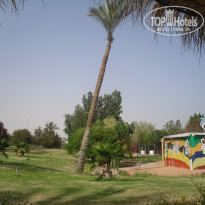 фото из отзыва ID 1138711