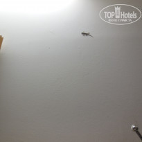 фото из отзыва ID 1138747