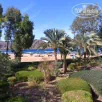 фото из отзыва ID 1138858