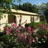 фото из отзыва ID 1139256