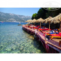 фото из отзыва ID 1139274