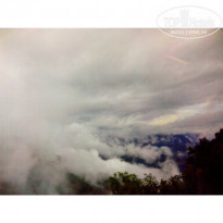 фото из отзыва ID 1139274