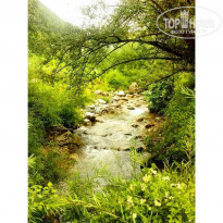 фото из отзыва ID 1139274