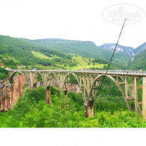 фото из отзыва ID 1139274