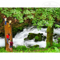 фото из отзыва ID 1139274