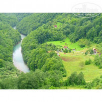 фото из отзыва ID 1139274