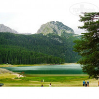 фото из отзыва ID 1139274