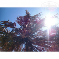 фото из отзыва ID 1139274