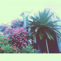 фото из отзыва ID 1139274