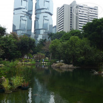 фото из отзыва ID 1139282