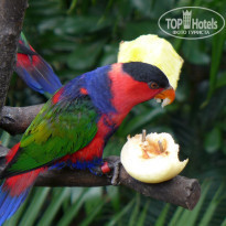 фото из отзыва ID 1139282