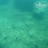 фото из отзыва ID 1139274