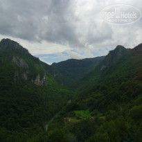 фото из отзыва ID 1139274